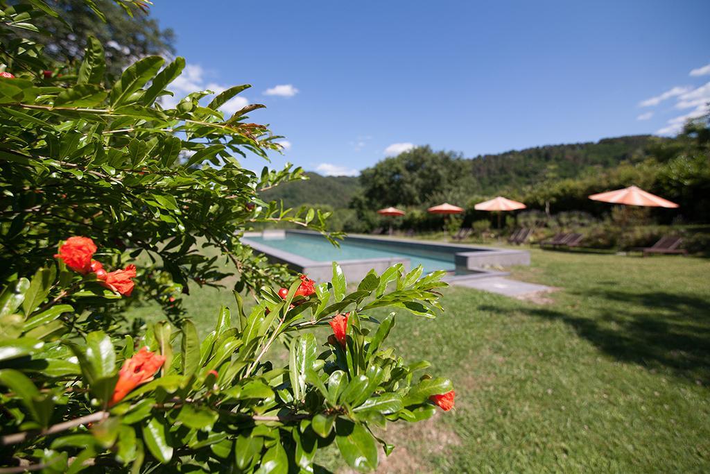 Poggio A Sieve Apartment Villore Exterior photo