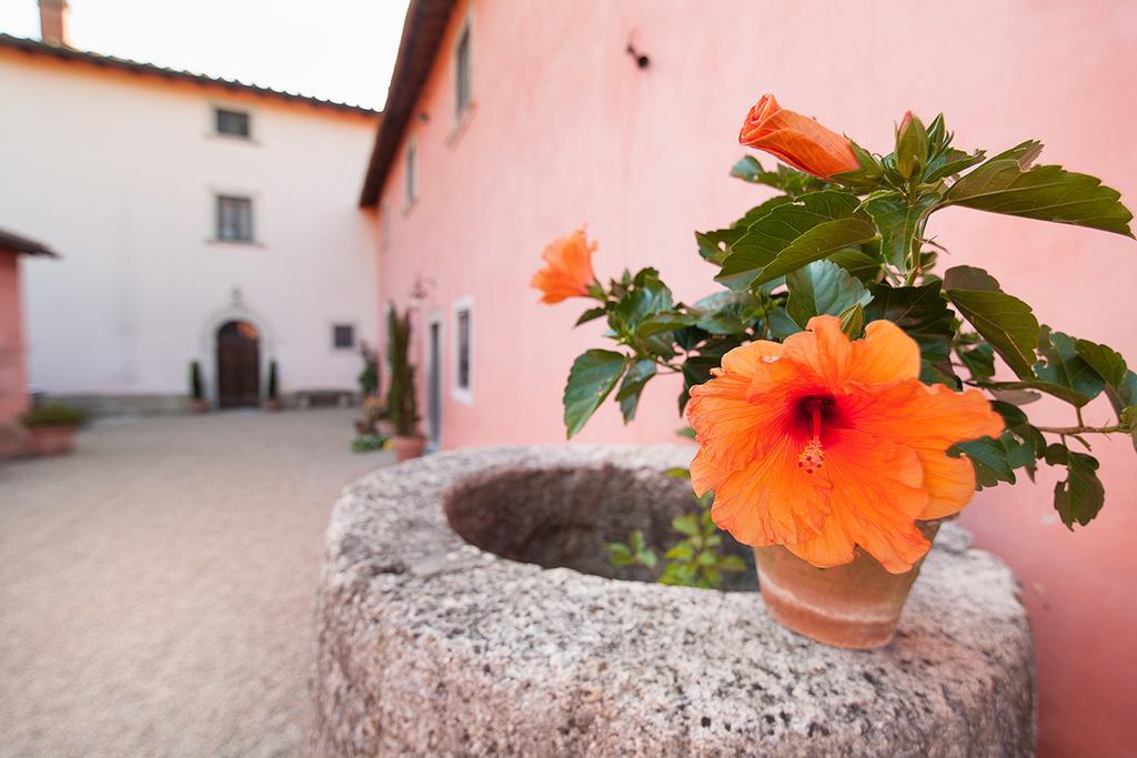 Poggio A Sieve Apartment Villore Exterior photo